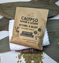 Charger l'image dans la galerie, SAVON À LESSIVE NATUREL À DILUER CALYPSO