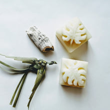 Charger l'image dans la galerie, REVITALISANT SOLIDE - Solid conditionner - Calypso Éco-savonnerie