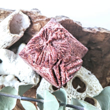 Charger l'image dans la galerie, SHAMPOOING SOLIDE - HIBISCUS ET COCO Shampoo bar - Calypso Éco-savonnerie