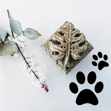 Charger l'image dans la galerie, SHAMPOING SOLIDE POUR CHIEN - Dog shampoo bar - Calypso Éco-savonnerie