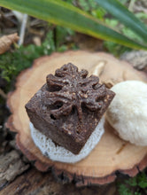Charger l'image dans la galerie, Shampoing solide aux champignons - chagua et crinière de lion
