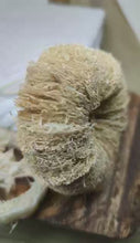 Charger et lire la vidéo dans la visionneuse de la Galerie, Éponge à récurer en luffa - disques assemblés
