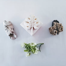 Charger l'image dans la galerie, shaving bar barre de rasage femme jasmin naturel zero waste calypso beauty skin peau douce
