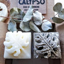 Charger l'image dans la galerie, shampoing solide shampoo bar revitalisant solide conditionner bar coffret box jasmin exotica luffa calypso
