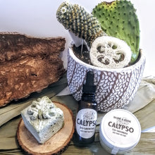 Charger l'image dans la galerie, COFFRET Zéro déchet - Soins de la barbe - Beard care - Calypso Éco-savonnerie
